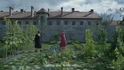 Cabbage. Kale. Runner beans. - The Zone of Interest