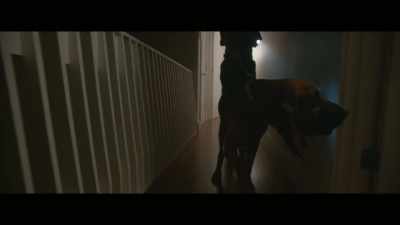 Cadaver dogs are trained
to alert on either - Who Killed Robert Wone?