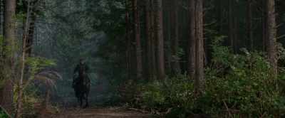 Caesar, you are our leader! - War for the Planet of the Apes