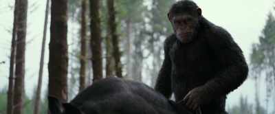 Caesar! Caesar! - War for the Planet of the Apes