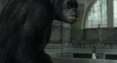 Caesar gone... - Dawn of the Planet of the Apes