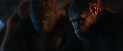 Caesar... - War for the Planet of the Apes