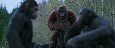 Caesar! - War for the Planet of the Apes