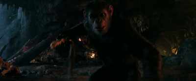 Caesar...
We can't find Winter! - War for the Planet of the Apes