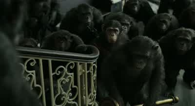 Caesar wouldn't want this. - Dawn of the Planet of the Apes