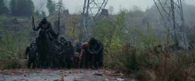 Caesar! You're not going after them?! - War for the Planet of the Apes