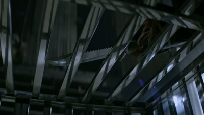 [cage clanking] - The Collective