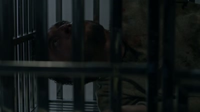[cage rattles] - The Collective