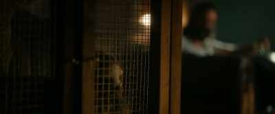 -[cage rattles]
-[sloth grunts] - Slotherhouse