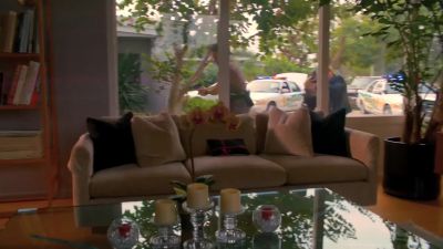CAINE:
Go. - CSI: Miami