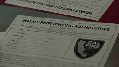 Cal Fire is hungry - Fire Country