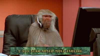 Call me today. Call me yesterday. - Absurd Planet