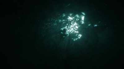 [calling plaintively] - Siren