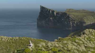 CALLS - Frozen Planet II