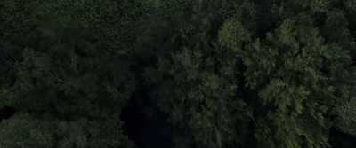 (calm music) - The Last Tourist