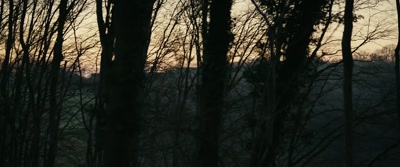 [calming guitar music playing] - Wolf Garden
