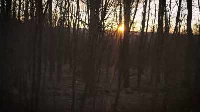 [calming piano music] - Secrets of the Sasquatch