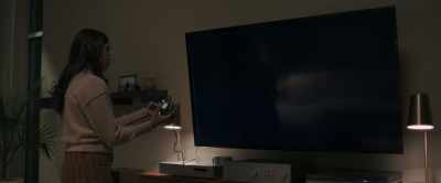 [camcorder dinging, whirring] - Intrusion