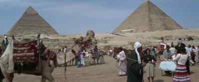 (camel groans) - Sphinx