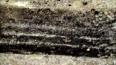 [ camera clicking ] - CSI: Crime Scene Investigation