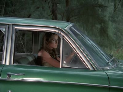 [ CAMERA CLICKING ] - Hawaii Five-O