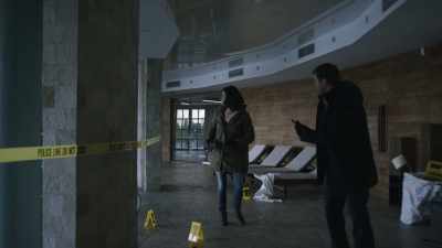 (CAMERA CLICKS) - Absentia