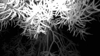 (camera rattling) - Horror in the High Desert
