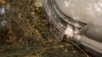 [camera shutter clicking] - NCIS