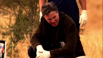   ( camera shutter clicking ) - CSI: Crime Scene Investigation