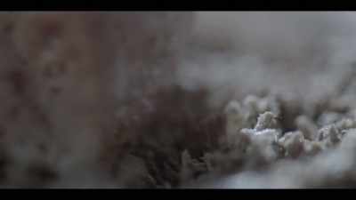 -(CAMERA SHUTTER CLICKS)
-The truth? Too much. - I'll Be Gone in the Dark