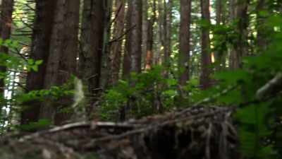 [cameraman pants] - Expedition Bigfoot