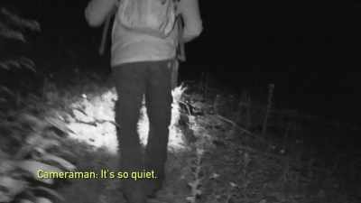 [cameraman speaking] - Expedition Bigfoot