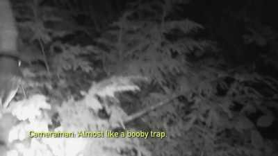 [cameraman speaking] - Expedition Bigfoot