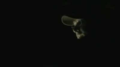 [cameraman speaking] - Expedition Bigfoot