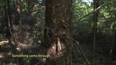 [cameraman speaking] - Expedition Bigfoot