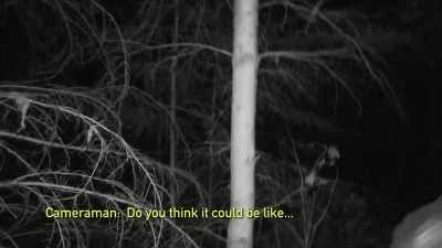 [cameraman speaking] - Expedition Bigfoot