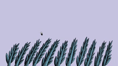 -Can you count all the plants?
-Not a chance! - StoryBots: Answer Time