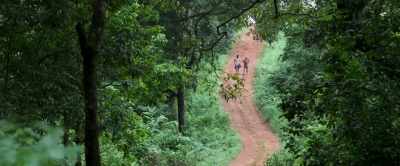 - Can we draw a line in the forest?
- Why do you care? - Churuli