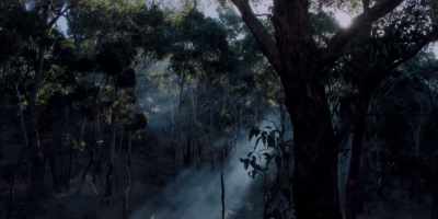Can you hear me?! - Picnic at Hanging Rock