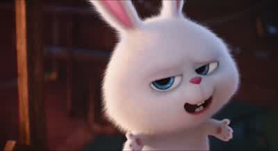 Can I call you Tiny Dog - The Secret Life of Pets
