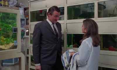 - Can I help you?
- Oh, yes, please. - Ring of Bright Water