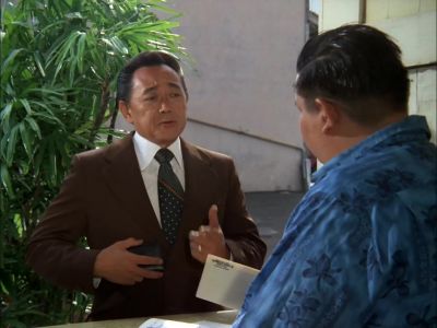 CAN I HELP YOU? - Hawaii Five-O