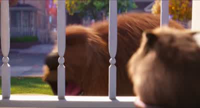 Can I help you? - The Secret Life of Pets