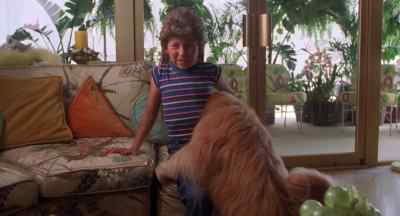 Can I push him off my leg - Joe Dirt