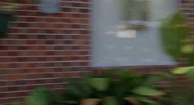 Oh hi Can I put an Obama sign in your yardDo I look like a Barack Hussein Obama supporterThis is private property Get offI could shoot youWhat a dickHe had a confederate flag on his house - Boyhood