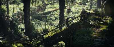 Can you imagine? [chuckles] - Kingdom of the Planet of the Apes