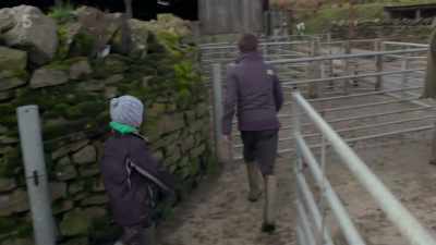 Can Miley run and get the rud?
Yeah. - Our Yorkshire Farm