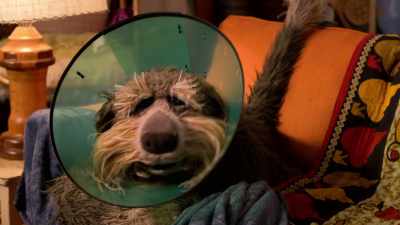 Can you please make one thing easy
and take your medicine? - Fraggle Rock: Back to the Rock