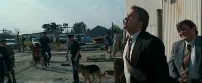 Can you reach the plant
from that shaft? - Catch a Fire