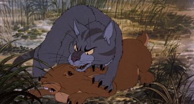 Can you run - Watership Down